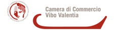 camera-di-commercio-vibo-valentia